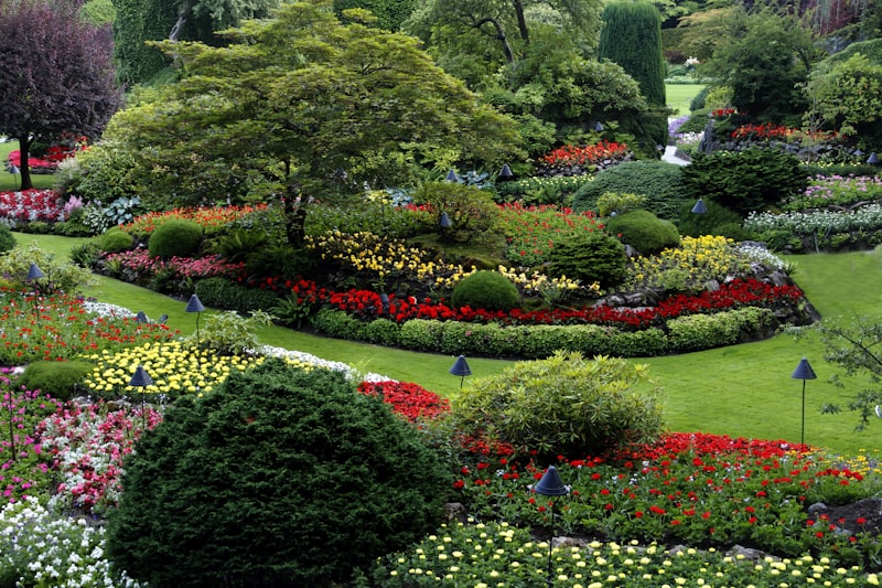 Massif de fleurs colorées avec système d'arrosage